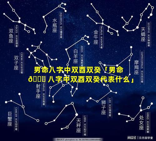 男命八字中双酉双癸「男命 💐 八字中双酉双癸代表什么」